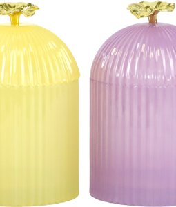3269 BOÎTES VERRE BLOSSOM TRASURE 3P
